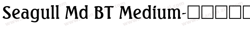 Seagull Md BT Medium字体转换